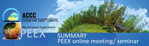 peex-online-seminar-summary-20240411