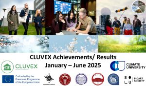 cluvex_sumup_jan-jun2025