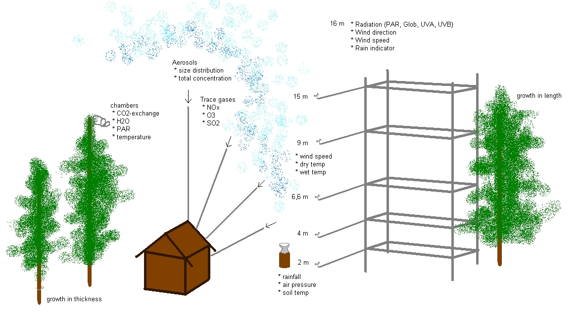 Figure 1: Diagram of SMEAR I measurements setup